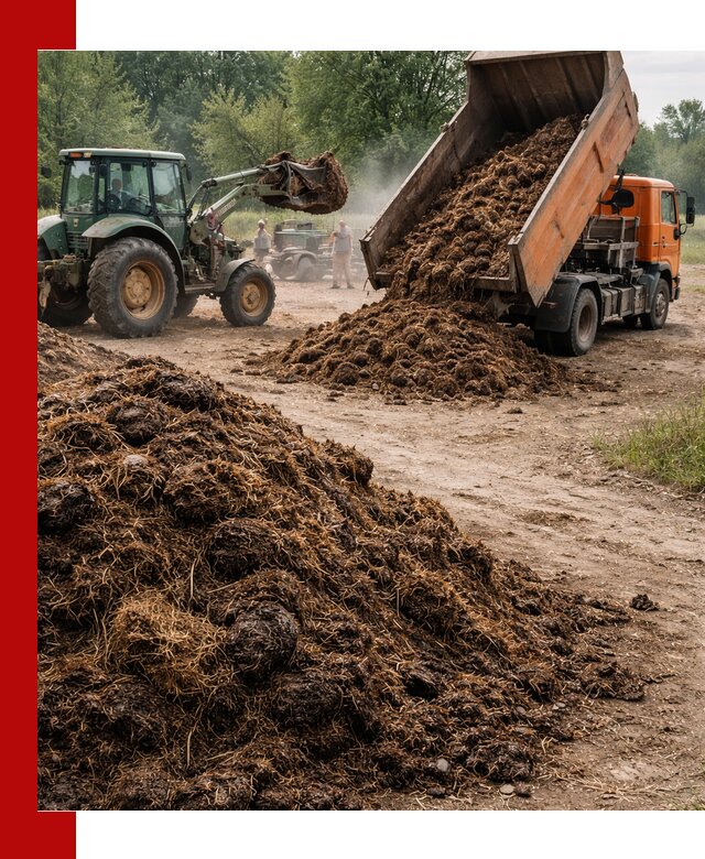 Доставка навоза самосвалами в Ахтубинске для сельхозпотребностей