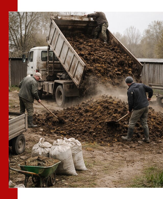 Доставка коровьего навоза самосвалом в Ахтубинске